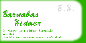 barnabas widmer business card