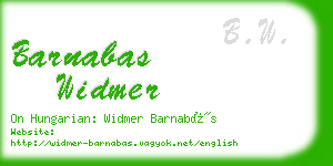 barnabas widmer business card